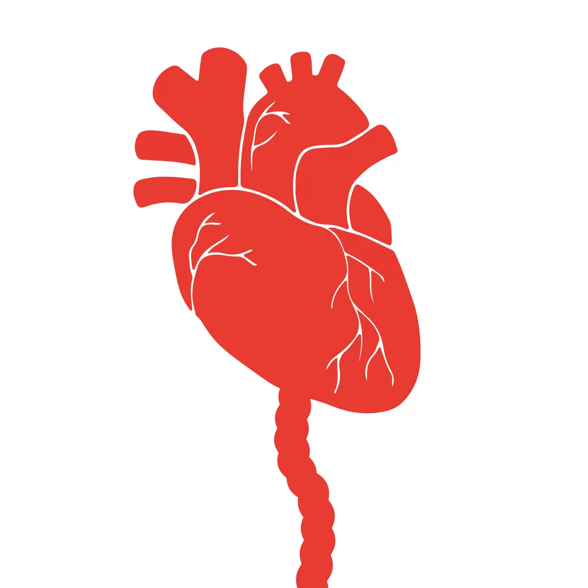 Cattiva Digestione e Tachicardia:  che rapporto c'è?