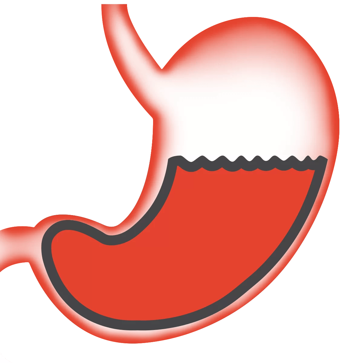 Gastrite, la dieta da seguire:  cosa mangiare e cosa evitare 