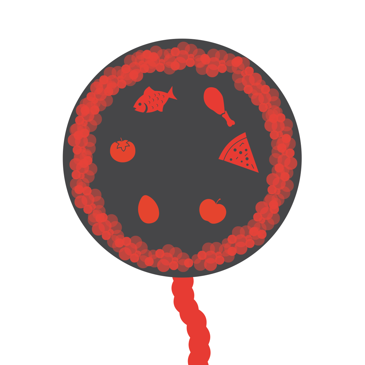 Alimenti che contrastano i gas intestinali:  la dieta per ridurre i gas intestinali  