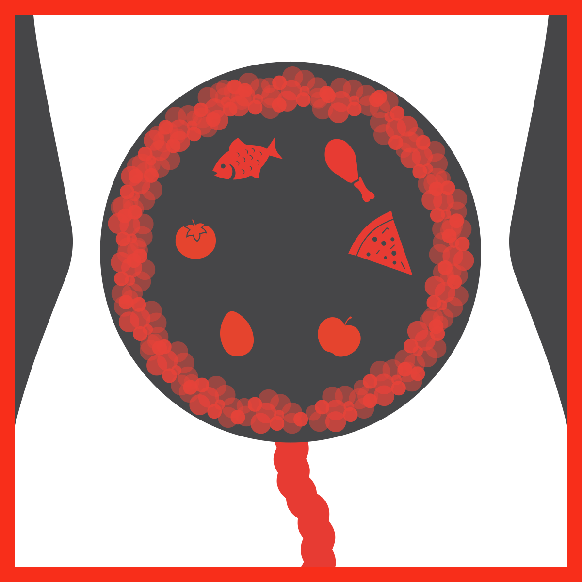 Alimenti<br>che assorbono<br>i gas intestinali